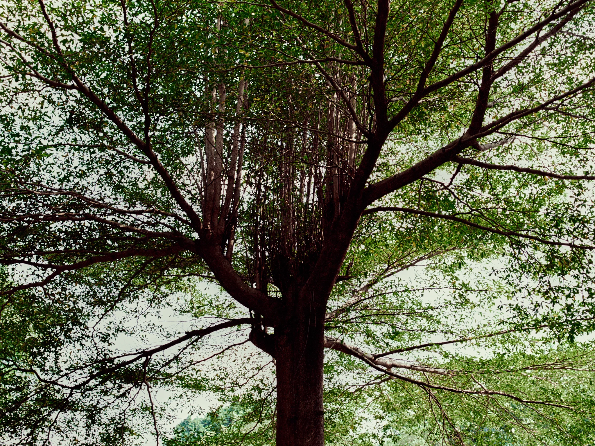 SUPERSCAPE AW26  FILM